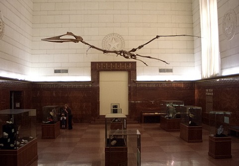 Austin TX Centennial Texas Memorial Museum Dinosaur display