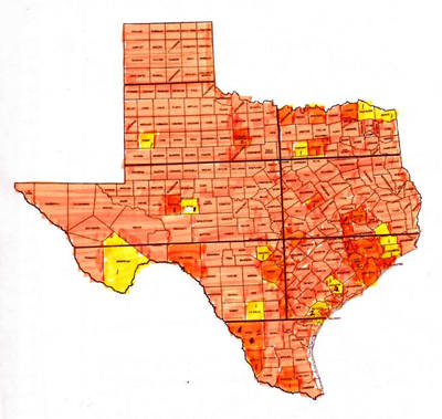 TX Centennial Progress Map