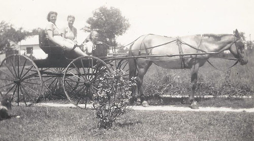 TX - NE Houston Neighbor Scott's Horse and Buggy