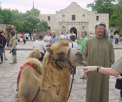 Alamo, Camels and Camel Corps reenactors