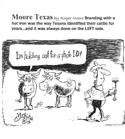 Branding cattle; Texas history cartoon