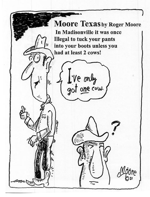 Madisonville TX two-cows rule ; Texas history cartoon by Roger  Moore