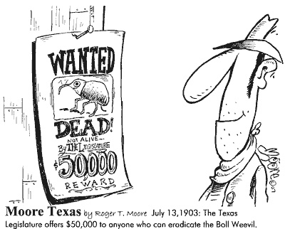 Boll Weevil, Texas history based cartoon