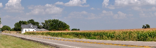 Anna Texas cornfield