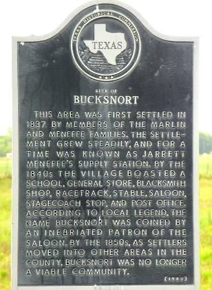 Bucksnort Tx Historical Marker