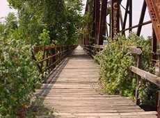 Carpenter's Bluff Bridge