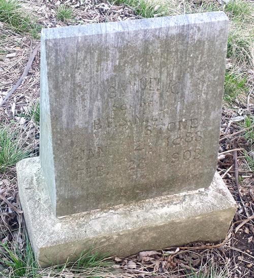 Grandview TX - Wilkinson Family  Cemetery tombstone 