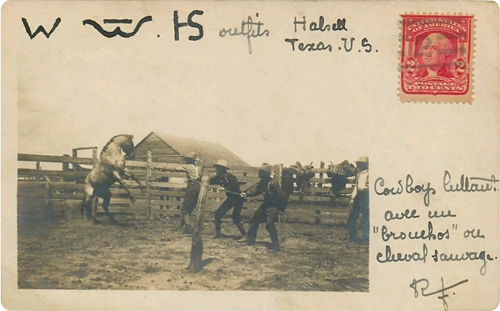 Halsell, Texas - cowboys roping hors