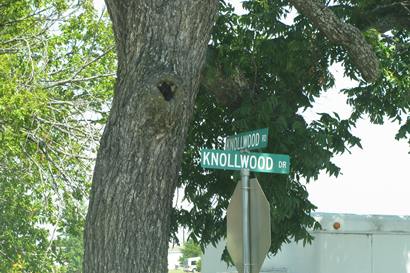 Knollwood Texas road signs