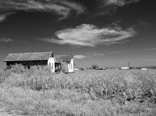 Malone, Texas - Abandoned old home in the middle of a cornfield