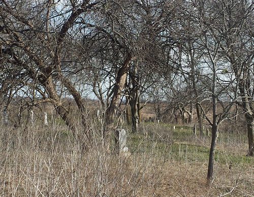 Hill County TX - Cemetery in Mayfield 