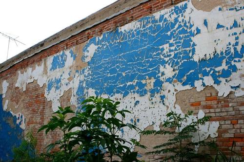 Peeling paint over exposed brick