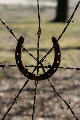 Clear Springs TX - Fence Detail - Horse shoe