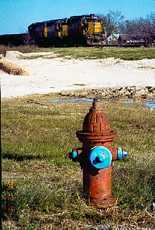 Train and fire hydrant