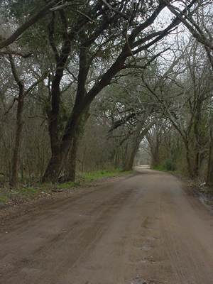 Kirtley Texas Barton Creek Road