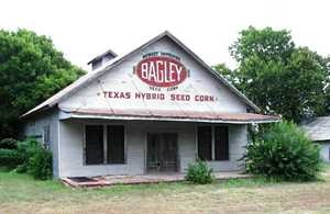 Martindale Bagley store Texas Hybrid  Seed Corn 