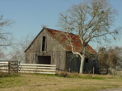 Nelsonville TX - Barn and Tree