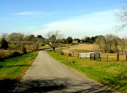 Nelsonville TX Country Road