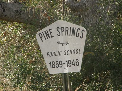 Oso TX - Pine Springs Public School marker