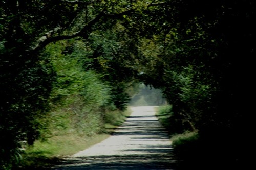 Road ot Plantersville Cemetery, Texas