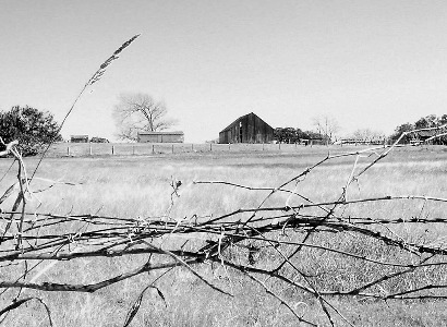 Fayette County TX - Rutersville distant barns