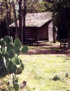 Wendish log cabin with cactus