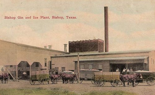 Bishop Gin and Ice Plant, Bishop Texas