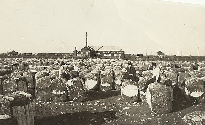 Chillicothe TX  - Kimbell Gin, cotton bales, and Jones family old photo