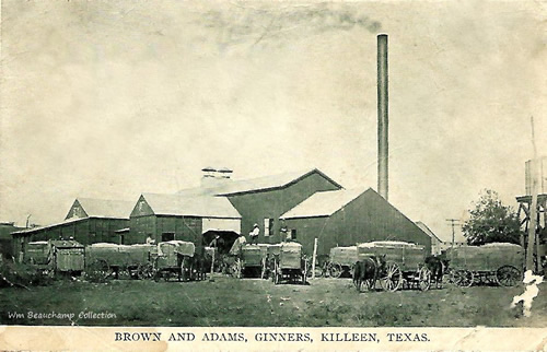 Killeen TX Brown and Adams Ginners
