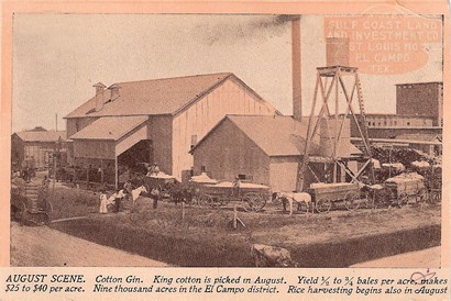 El Campo Texas cotton gin advertising postcard 1910