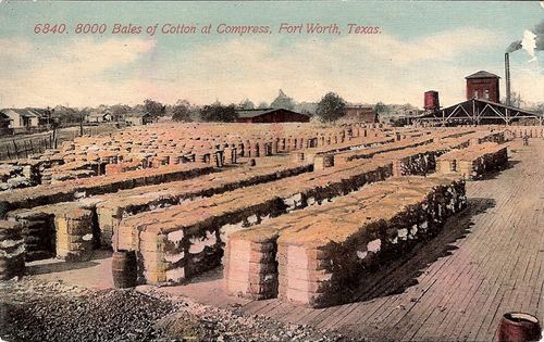 Bales of Cotton at Compress, Fort Worth Texas