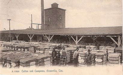 Greenville TX - Cotton gin, cotton compress, pstmrk1906