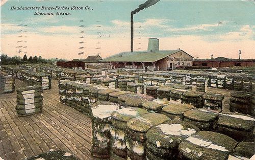 Headquarters Birge-Forbes Cotton Co., Sherman,  Texas