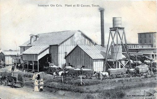 Isaacson Gin Co's. Plant at El Campo, TX
