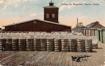 Cotton for shipment, Tayor Texas