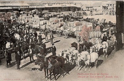 Anson, TX cotton scene - Forty-Five Bales of Cotton Drawn by Ten Horses