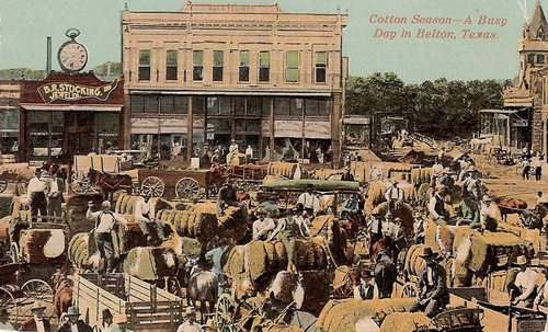 Cotton Season - A Busy Day in Belton, Texas