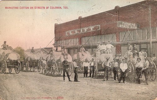Marketing Cotton on Streets of Coleman, Texas