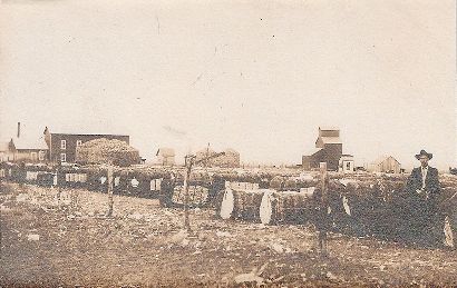 Cotton Scenes - Byers-Nacona TX area, ca 1908