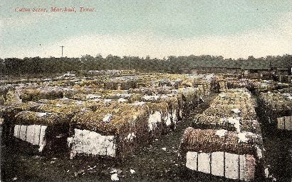 Cotton Scenes Marshall TX ca 1910