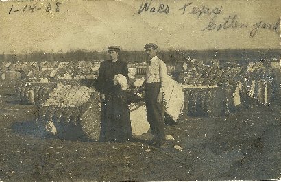Waco, TX - Cotton Yard  with bales of cotton dated 1908