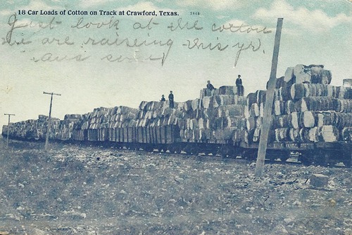 Crawford, Texas - Car Loads of Cotton on Track