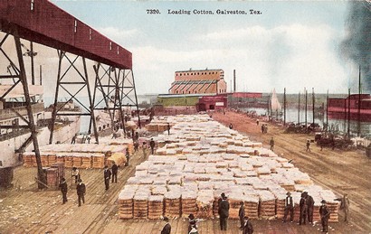Galveston TX Cotton Scene - Loading Cotton 