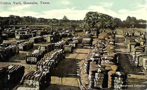 Gonzales TX - Cotton Yard