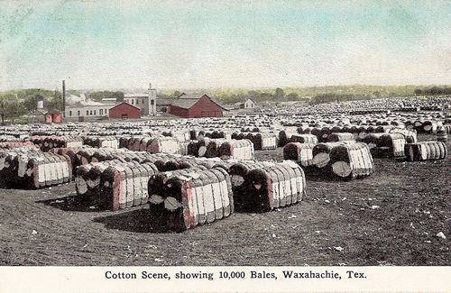 Cotton Scene, showing 10,000 Bales, Waxahachie, Texas
