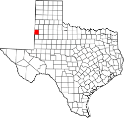 Cochran County TX