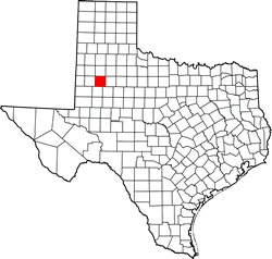 Lynn County TX