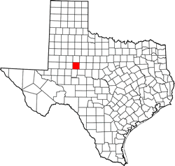 Mitchell County TX