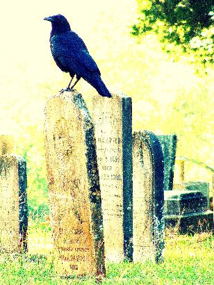Grapeland TX - Parker Cemetery Raven on Tombstone