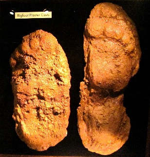 Bigfoot plaster casts  - Museum of Weird, Austin TX
